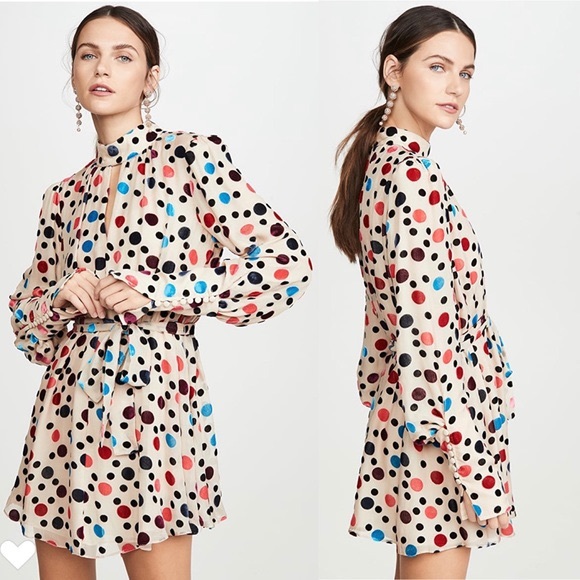 Saloni Mini Dress - Picture 2 of 9